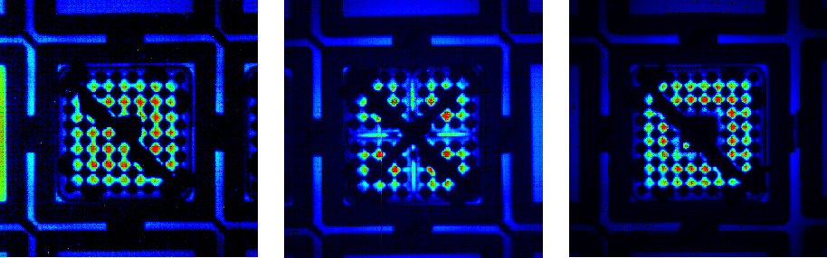 Real-time display and capture of digital images for analysis and comparison