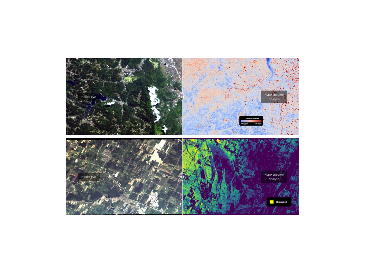 RGB vs hyperspectral analysis of carbon dioxide distribution and chlorophyll content via remote sensing