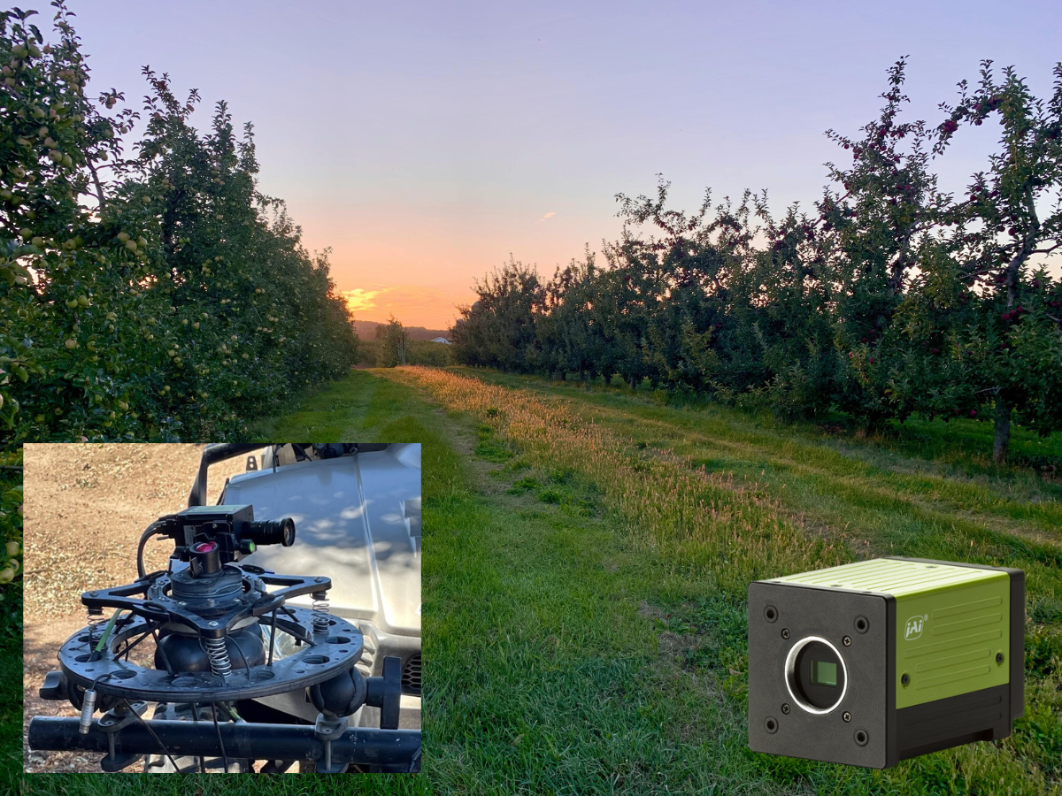 Rows of apple trees in orchard, with image of JAI camera and image of JAI camera mounted on ground vehicle