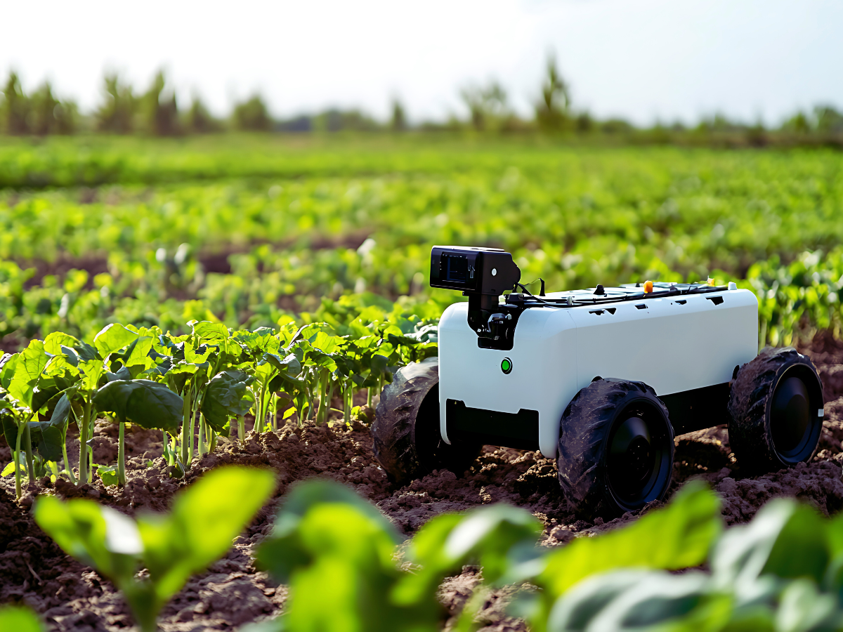 Ground-vehicle with mounted camera imaging rows of crops outdoors