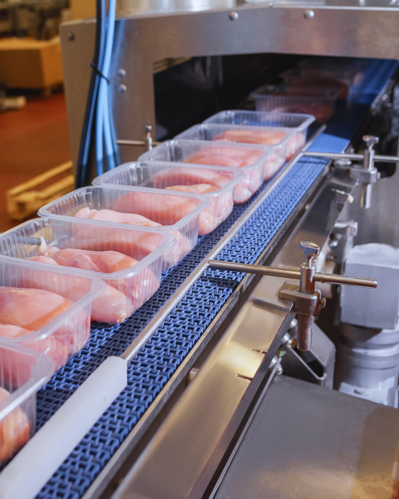 Packaged chicken breast moving along a production line for inspection