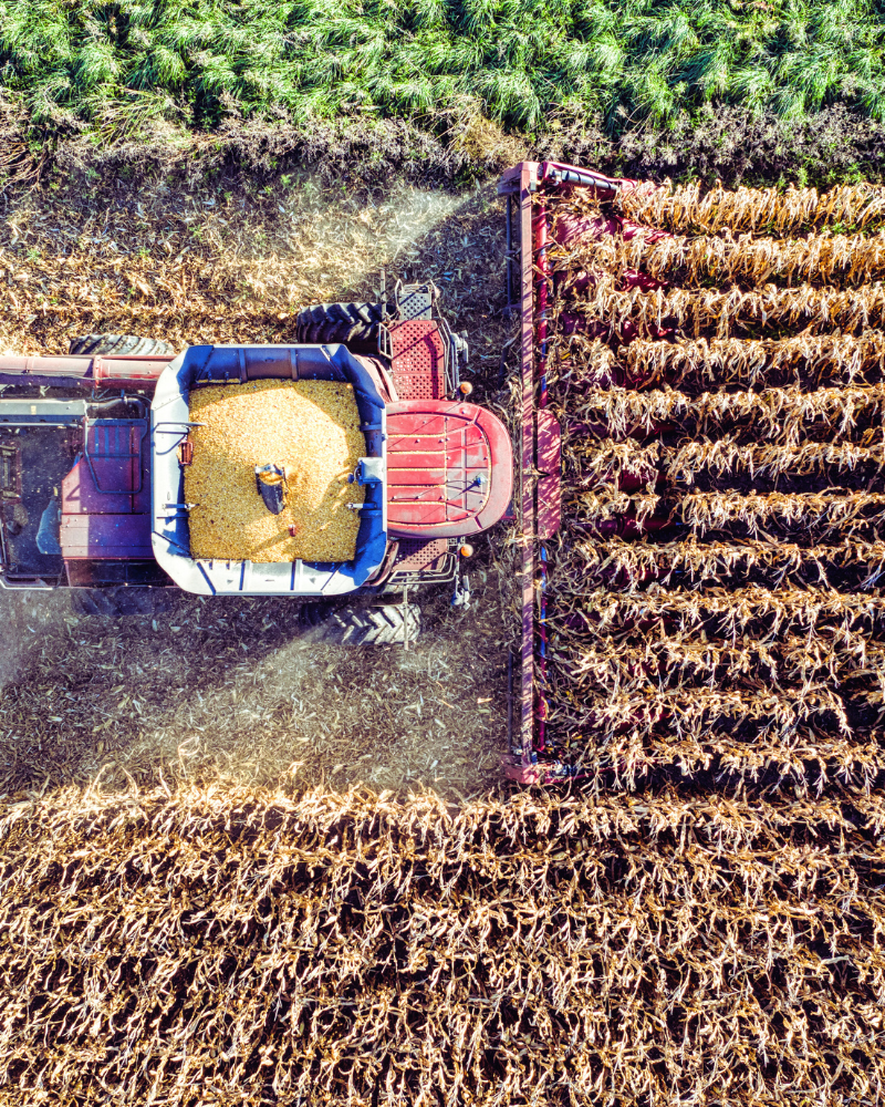 Tractor in farmers field