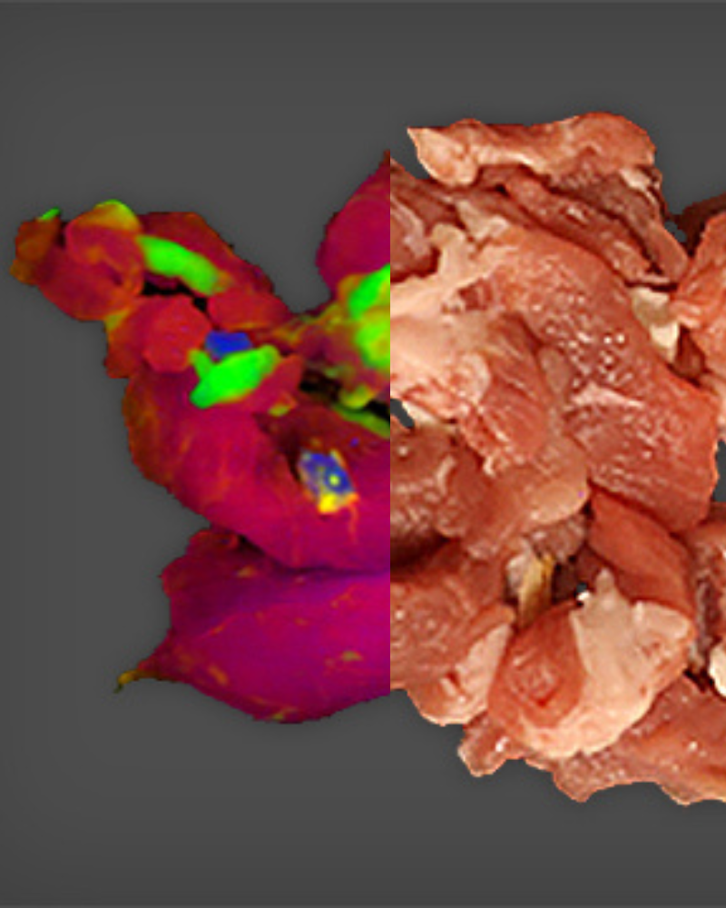 Side by side image of meat imaged with hyperspectral imaging and RGB